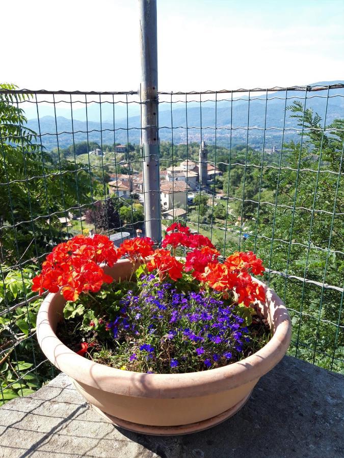 La Romanina Bagnone Bagian luar foto